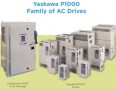 P1000-pic